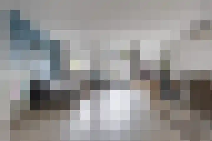 Wintereik 4 Heiloo thumbnail 4