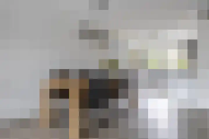 Wintereik 4 Heiloo thumbnail 5