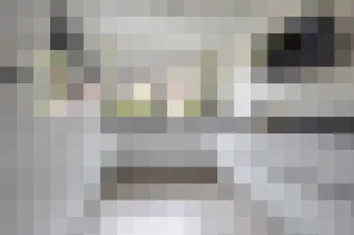 Wintereik 4 Heiloo thumbnail 6