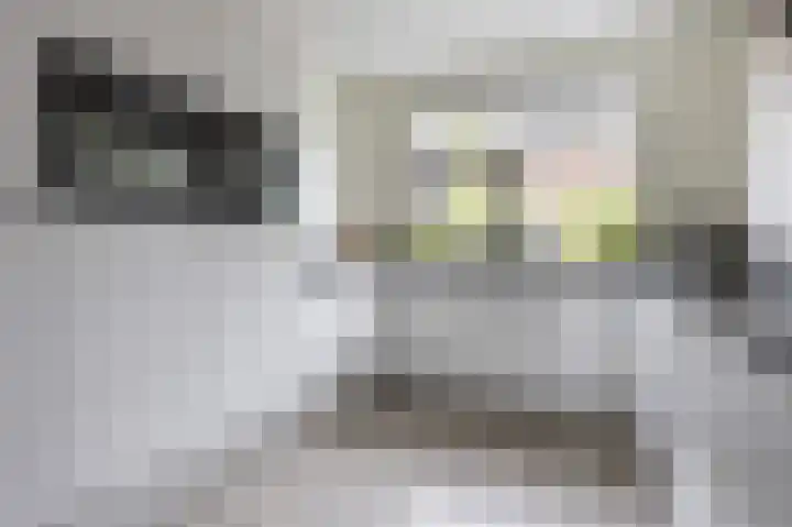 Wintereik 4 Heiloo thumbnail 7