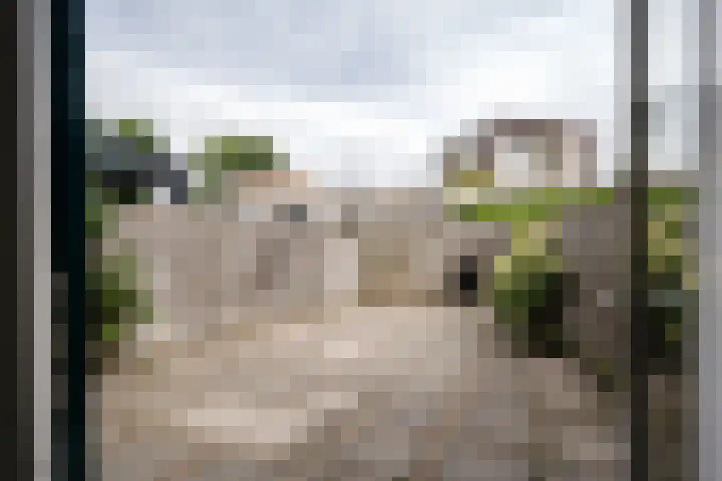Wintergroen 10 Katwijk thumbnail 12