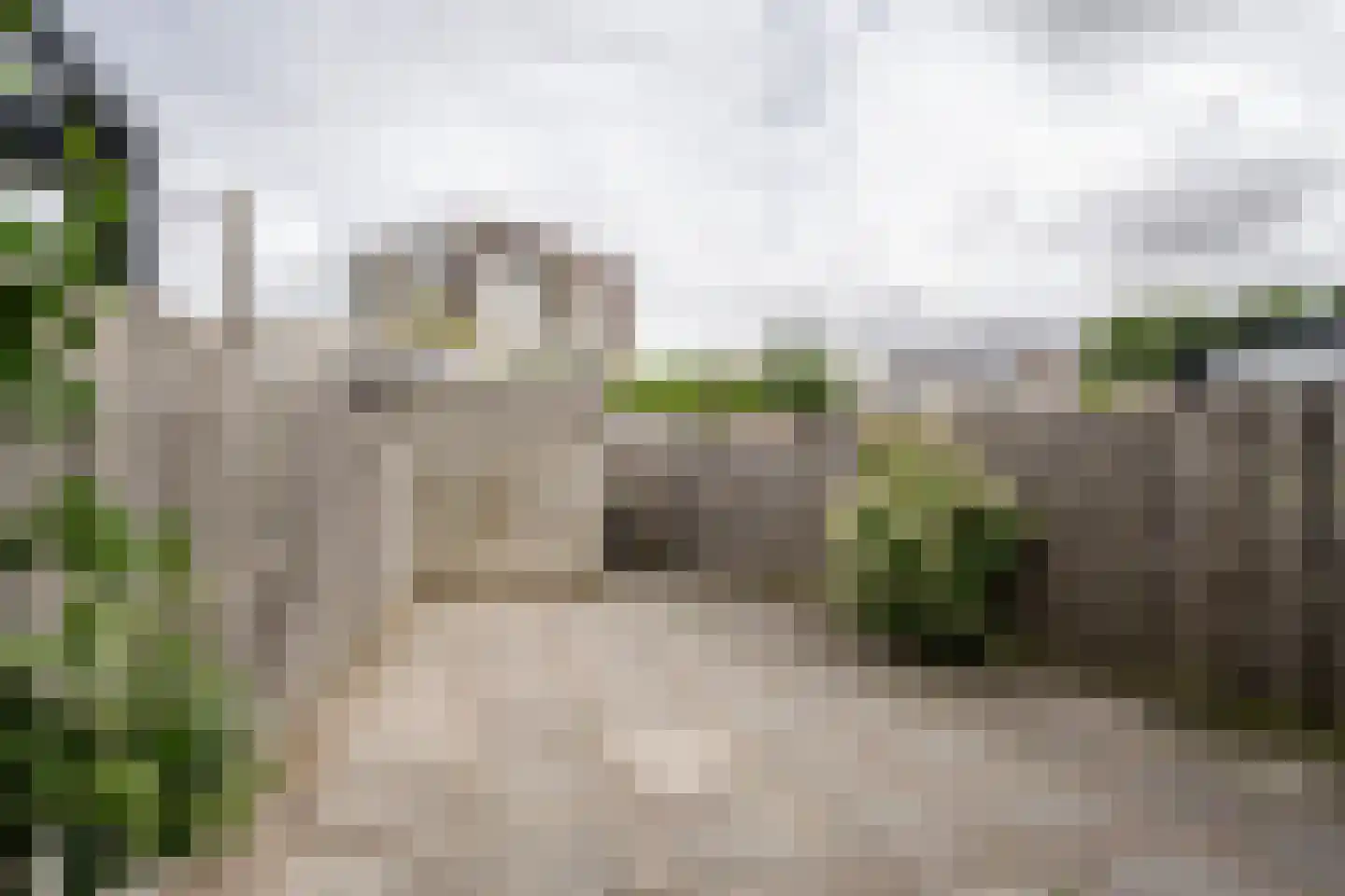 Wintergroen 10 Katwijk thumbnail 13
