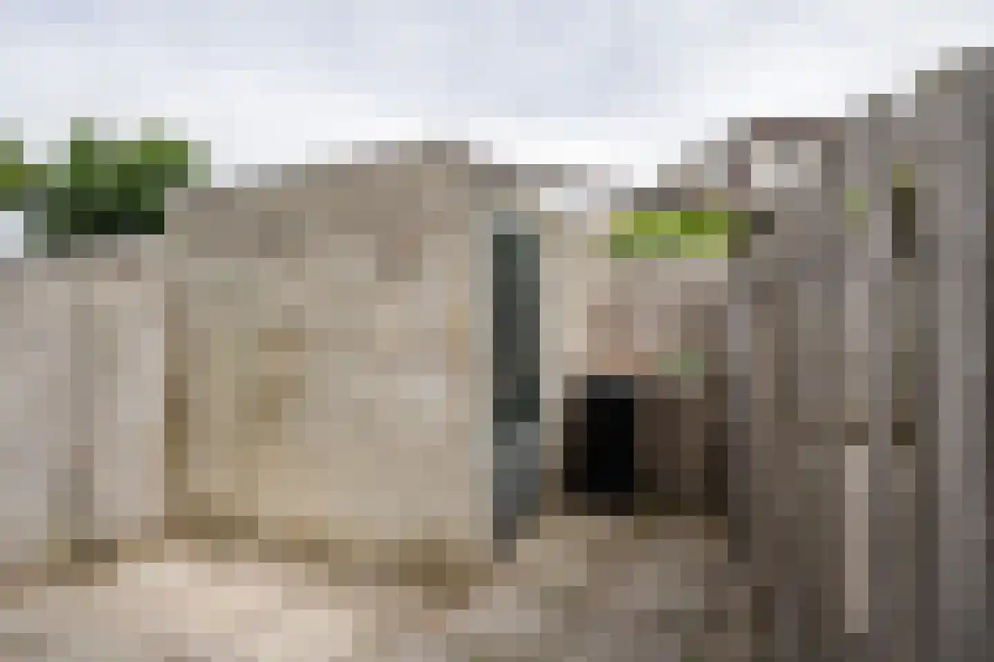Wintergroen 10 Katwijk thumbnail 15