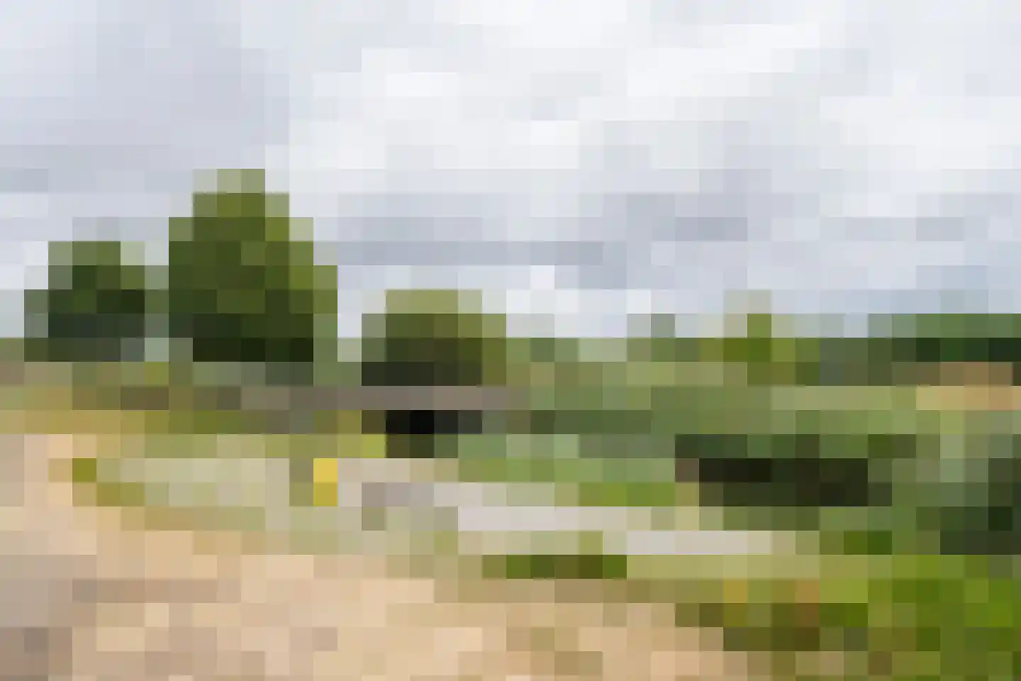 Wintergroen 10 Katwijk thumbnail 28