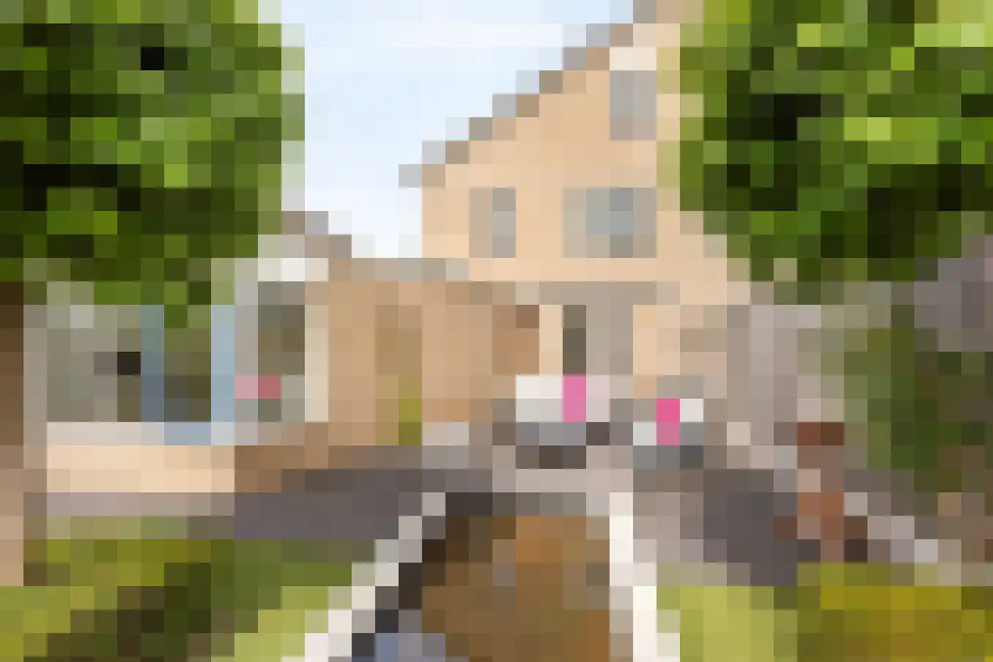 Wintergroen 11 Nijverdal thumbnail 15