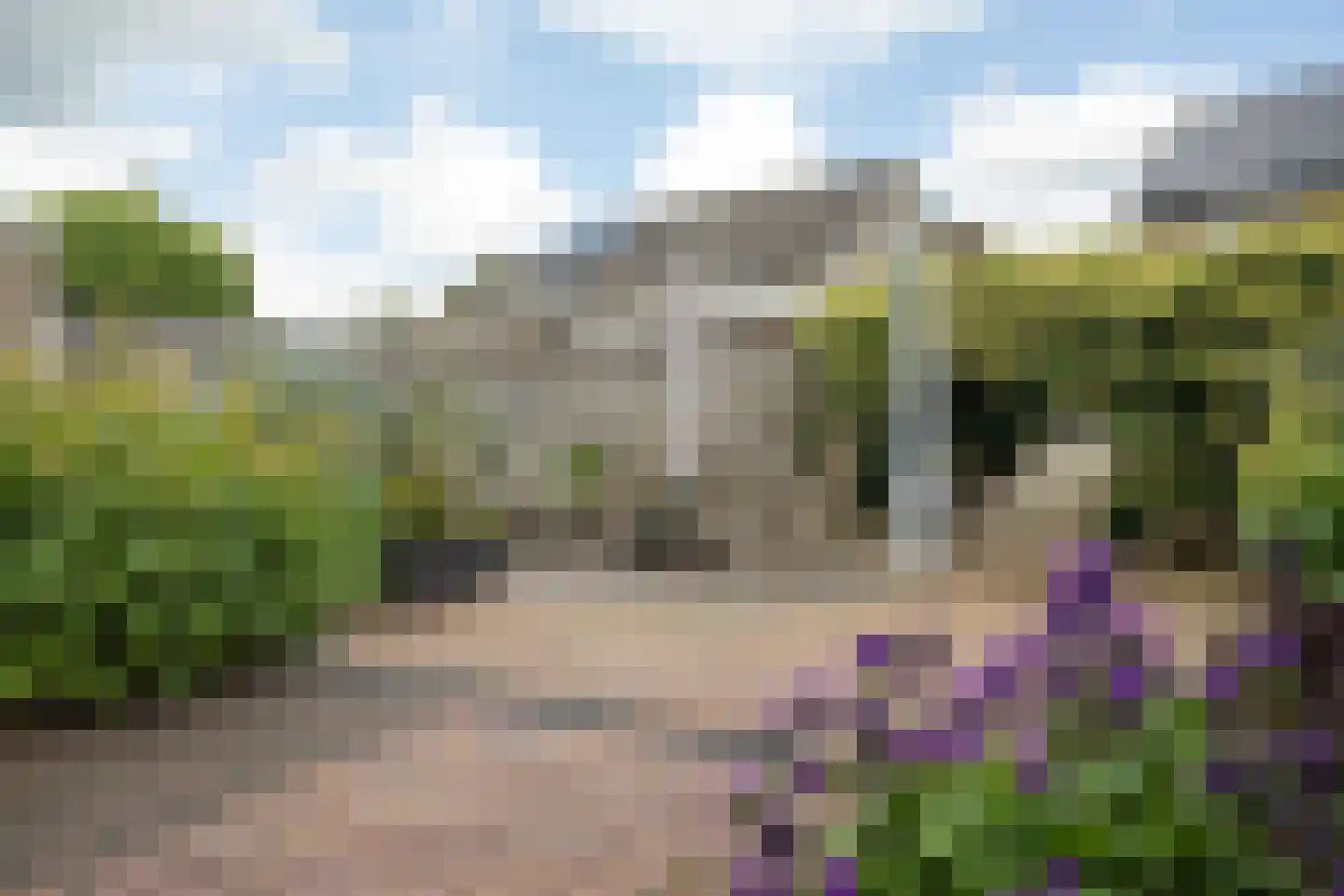 Wintergroen 13 Nijverdal thumbnail 19