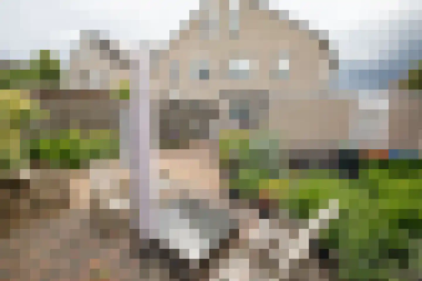 Wintergroen 13 Nijverdal thumbnail 49