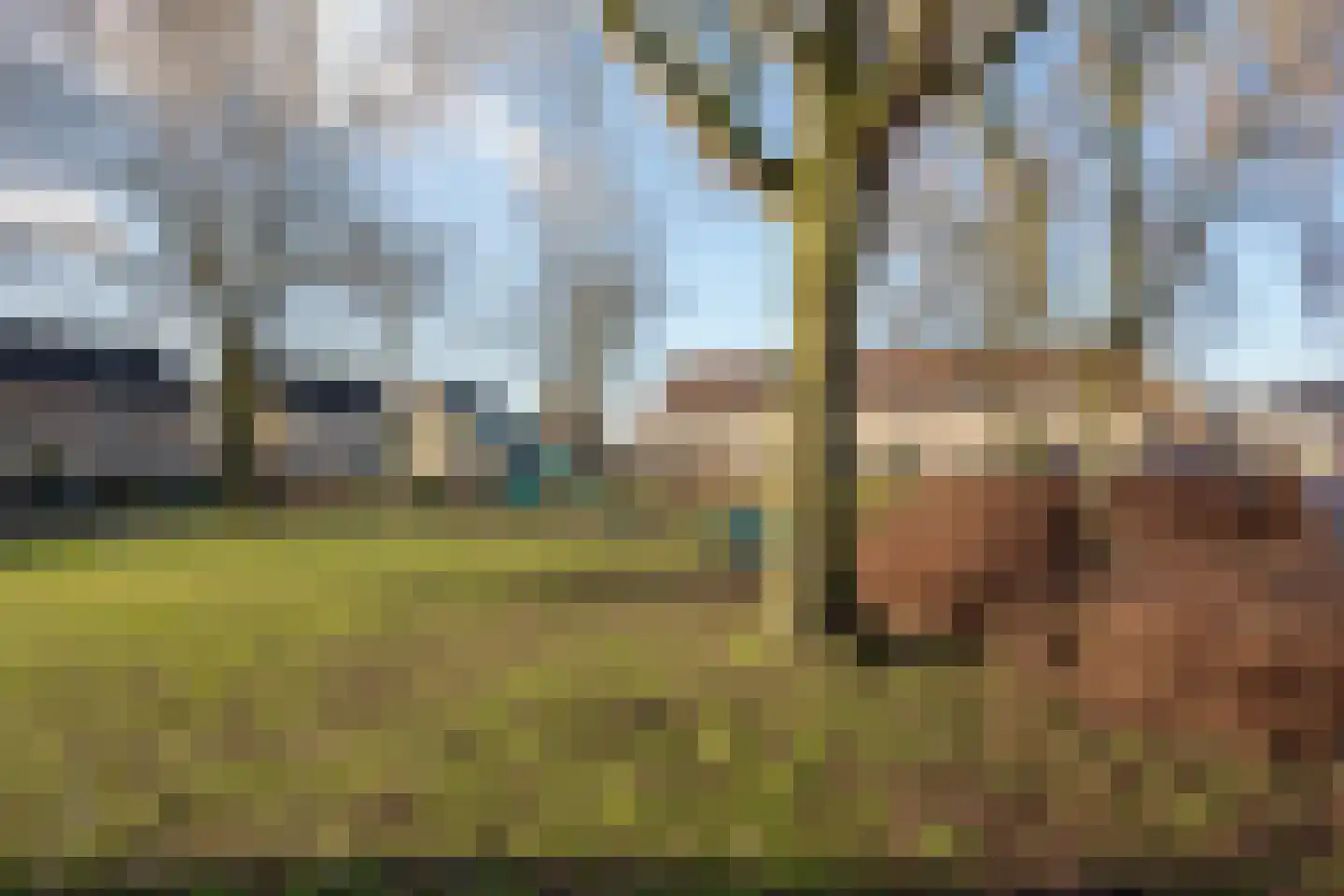 Wintergroen 13 Nijverdal thumbnail 5