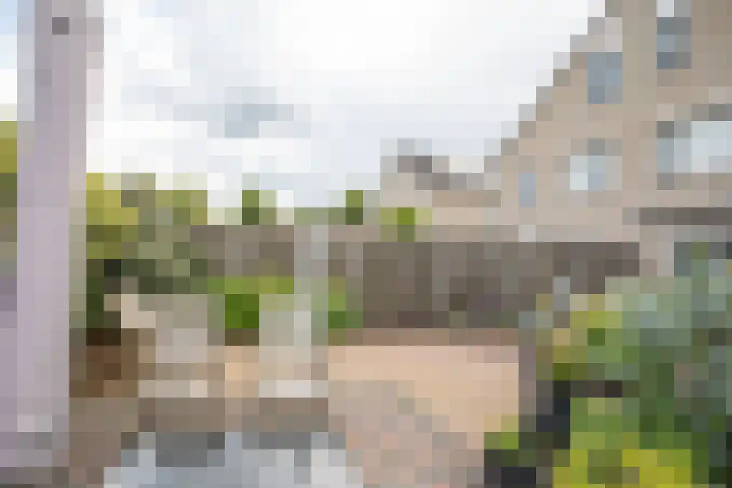 Wintergroen 13 Nijverdal thumbnail 50
