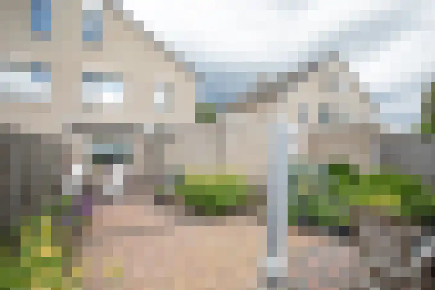 Wintergroen 13 Nijverdal thumbnail 7
