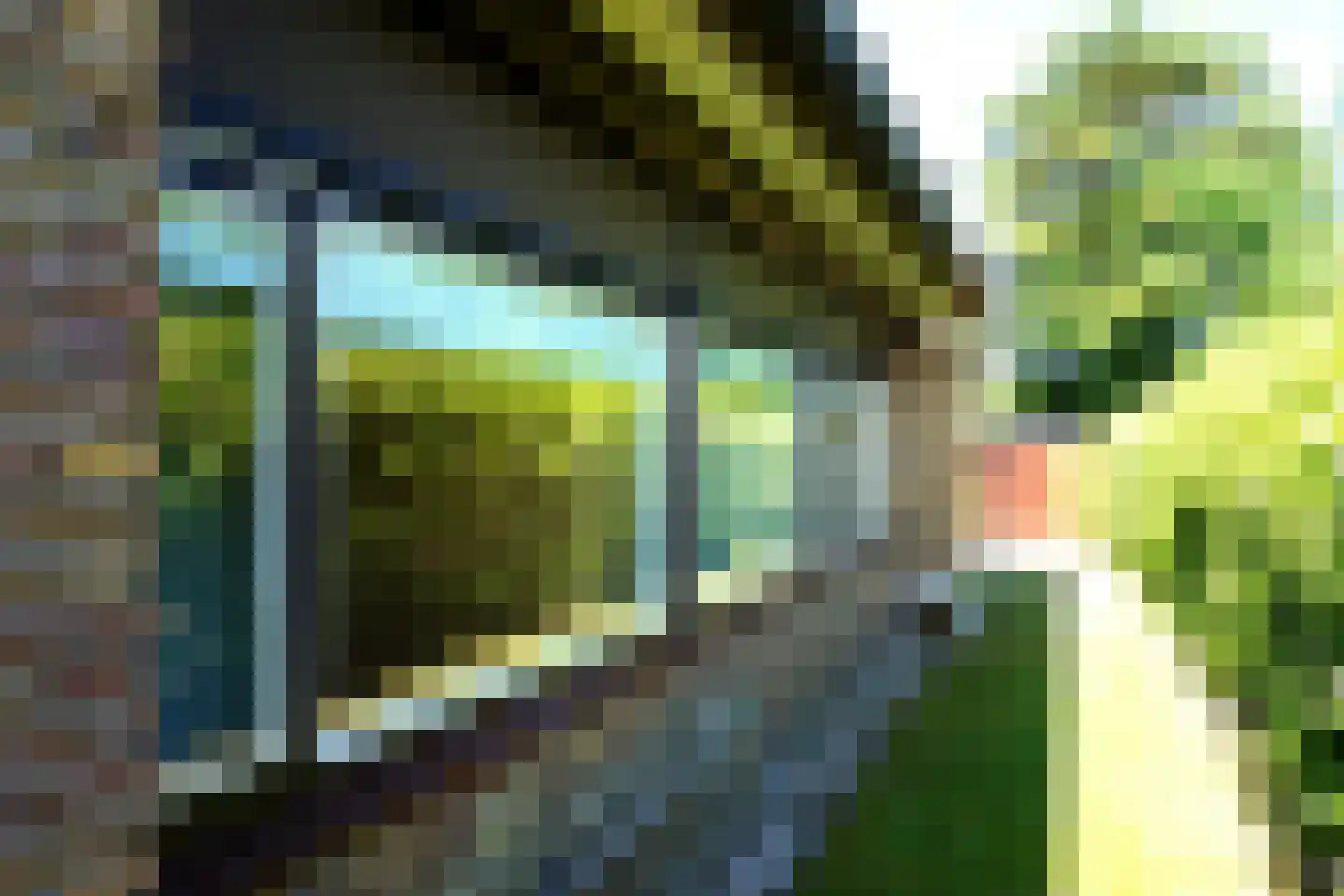 Wintergroen 16 Julianadorp thumbnail 23