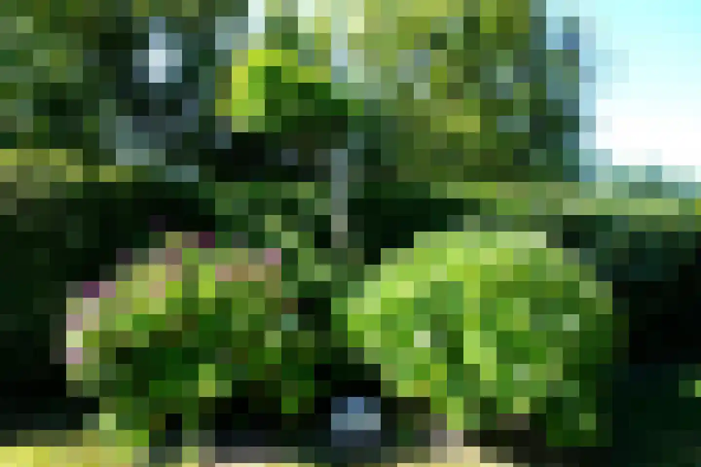 Wintergroen 16 Julianadorp thumbnail 28