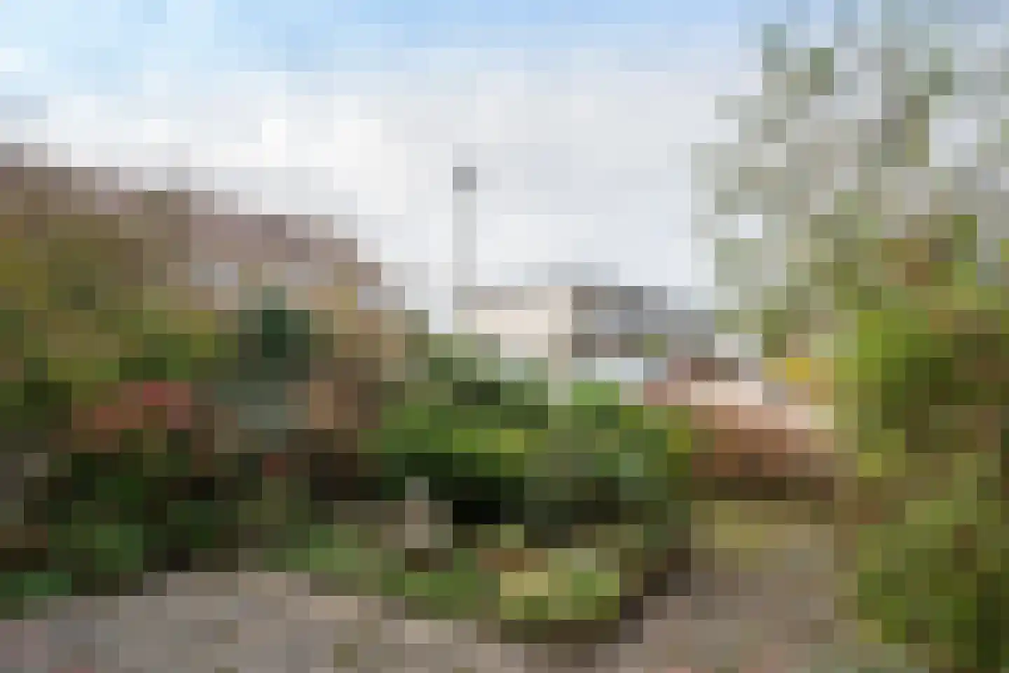 Wintergroen 29 De Koog thumbnail 52