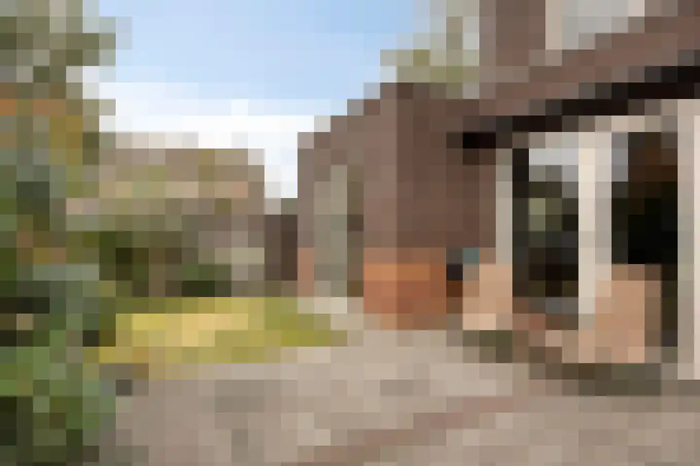 Winterheide 2 Nootdorp thumbnail 47