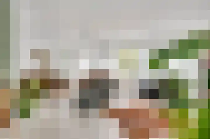 Winterheide 20 Grubbenvorst thumbnail 16