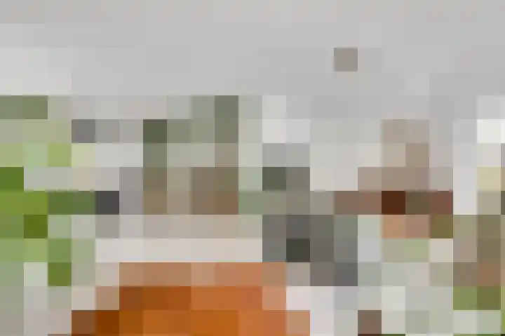 Winterheide 20 Grubbenvorst thumbnail 19