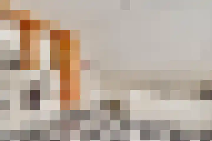 Winterheide 20 Grubbenvorst thumbnail 36