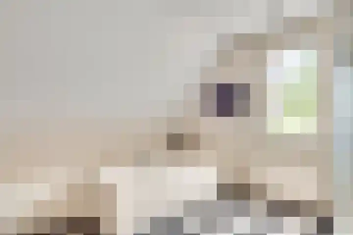 Winterheide 20 Grubbenvorst thumbnail 37