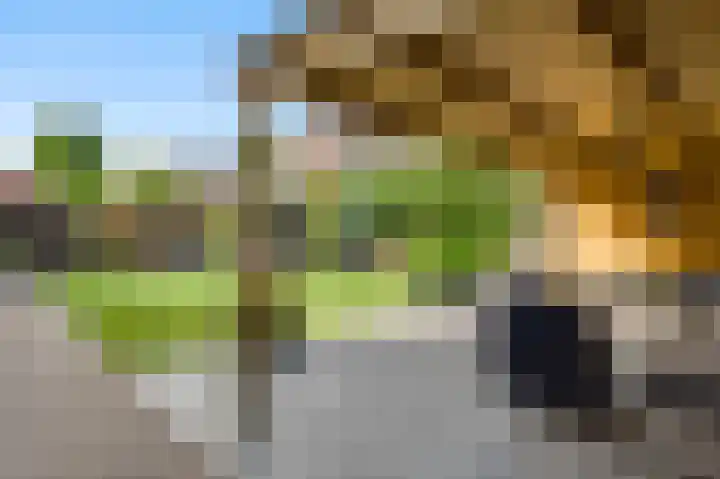 Winterheide 20 Grubbenvorst thumbnail 49