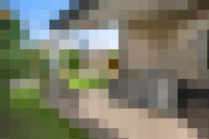Winterheide 20 Grubbenvorst thumbnail 52