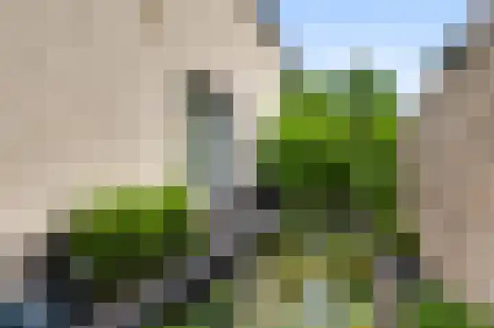 Winterheide 20 Grubbenvorst thumbnail 53