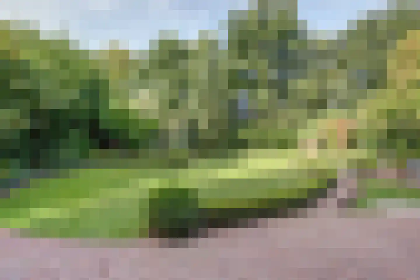 Winterheide 23 Grubbenvorst thumbnail 26