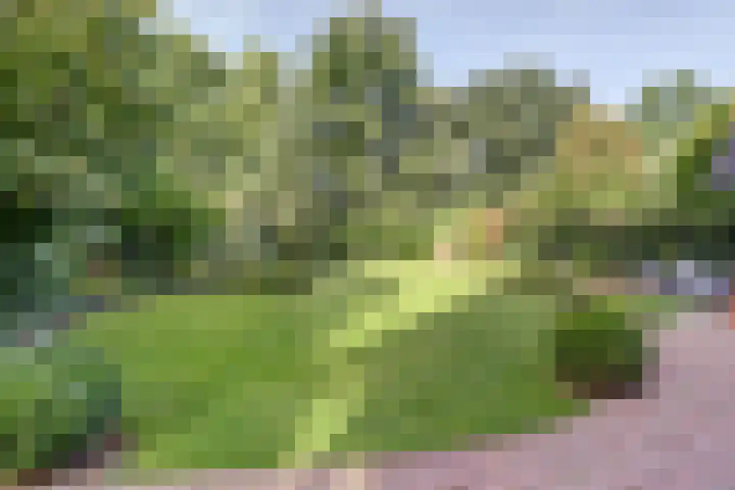 Winterheide 23 Grubbenvorst thumbnail 27