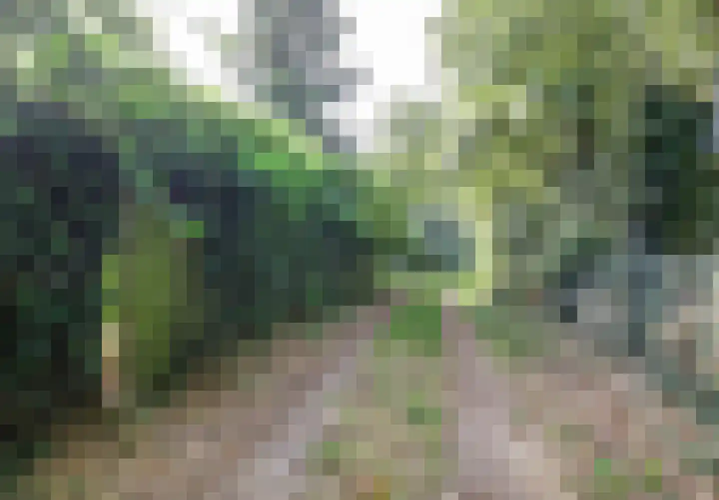 Winterheide 23 Grubbenvorst thumbnail 32