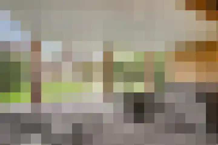 Winterheide 38 Grubbenvorst thumbnail 17