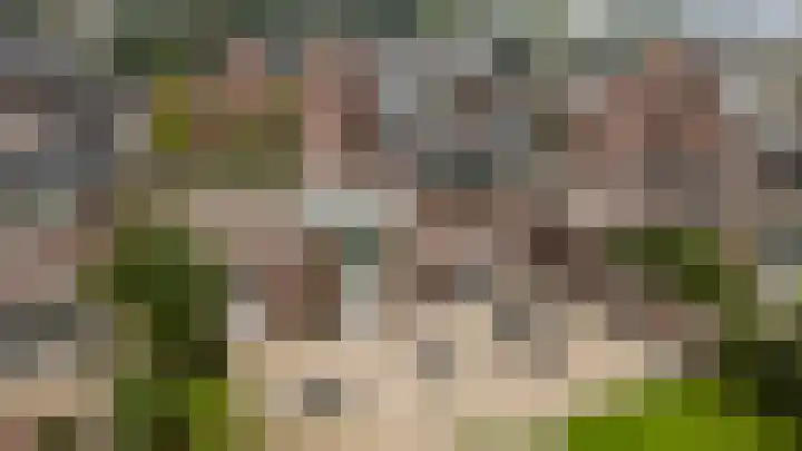 Winterheide 38 Grubbenvorst thumbnail 31