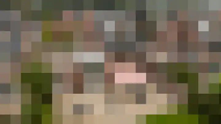 Winterheide 38 Grubbenvorst thumbnail 33