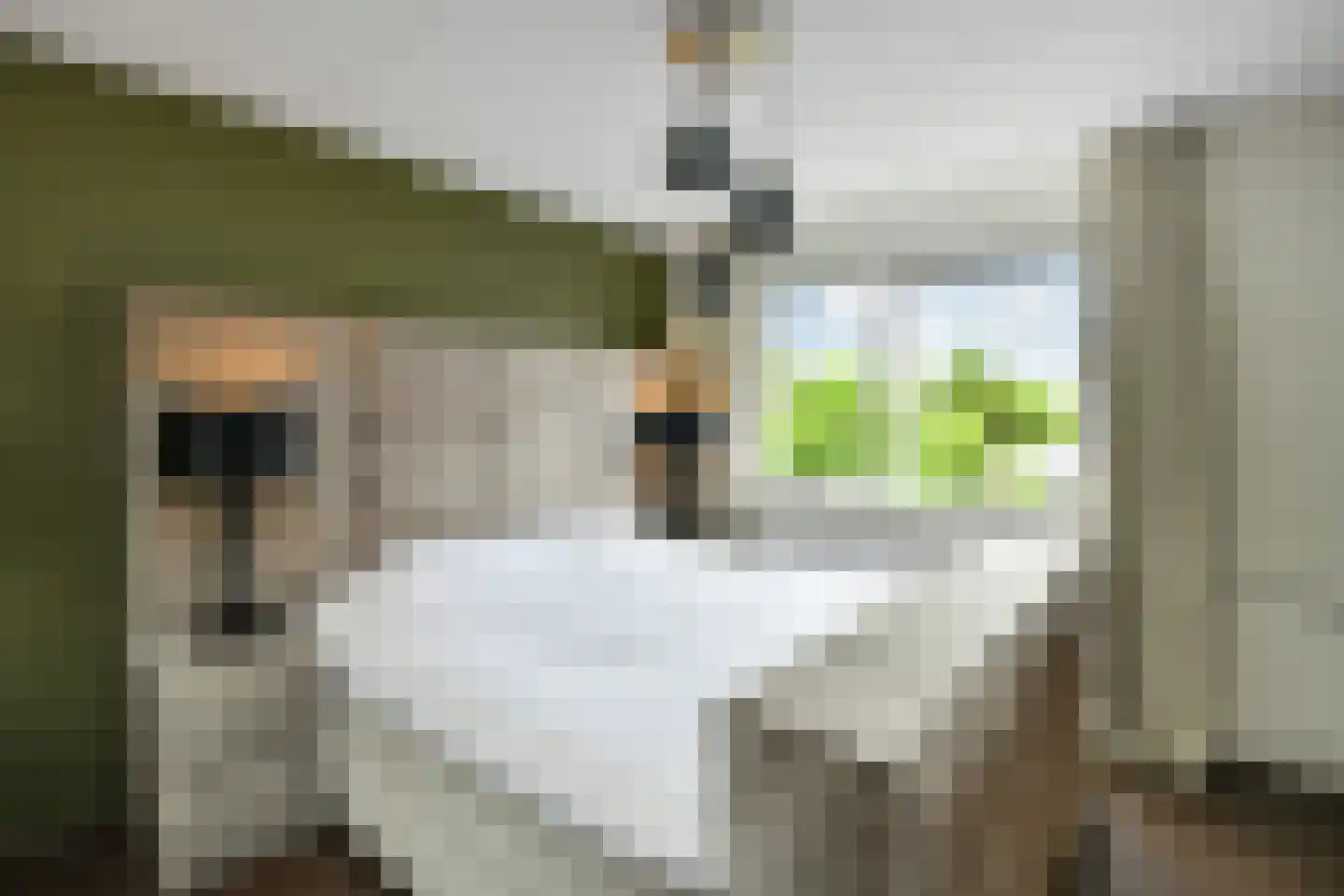 Winterjan 1 Elst thumbnail 11