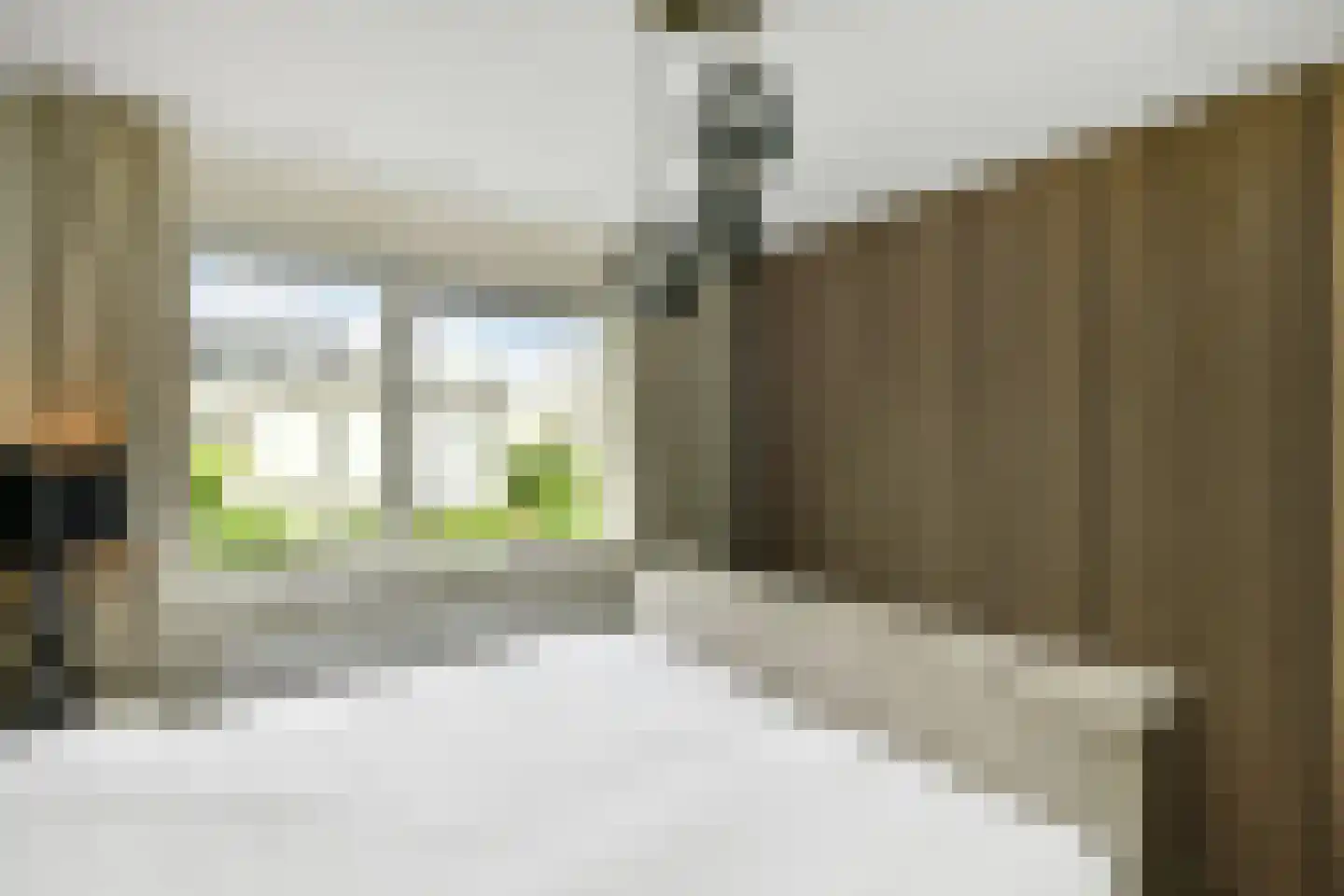 Winterjan 1 Elst thumbnail 12