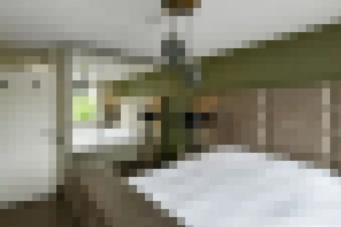 Winterjan 1 Elst thumbnail 13