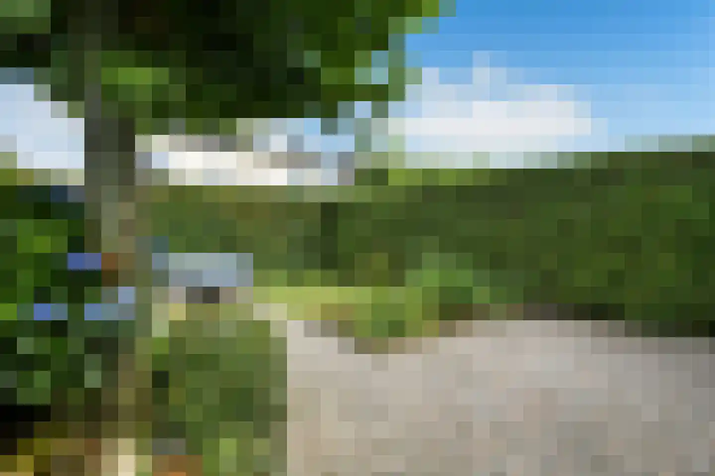 Winterjan 1 Elst thumbnail 26