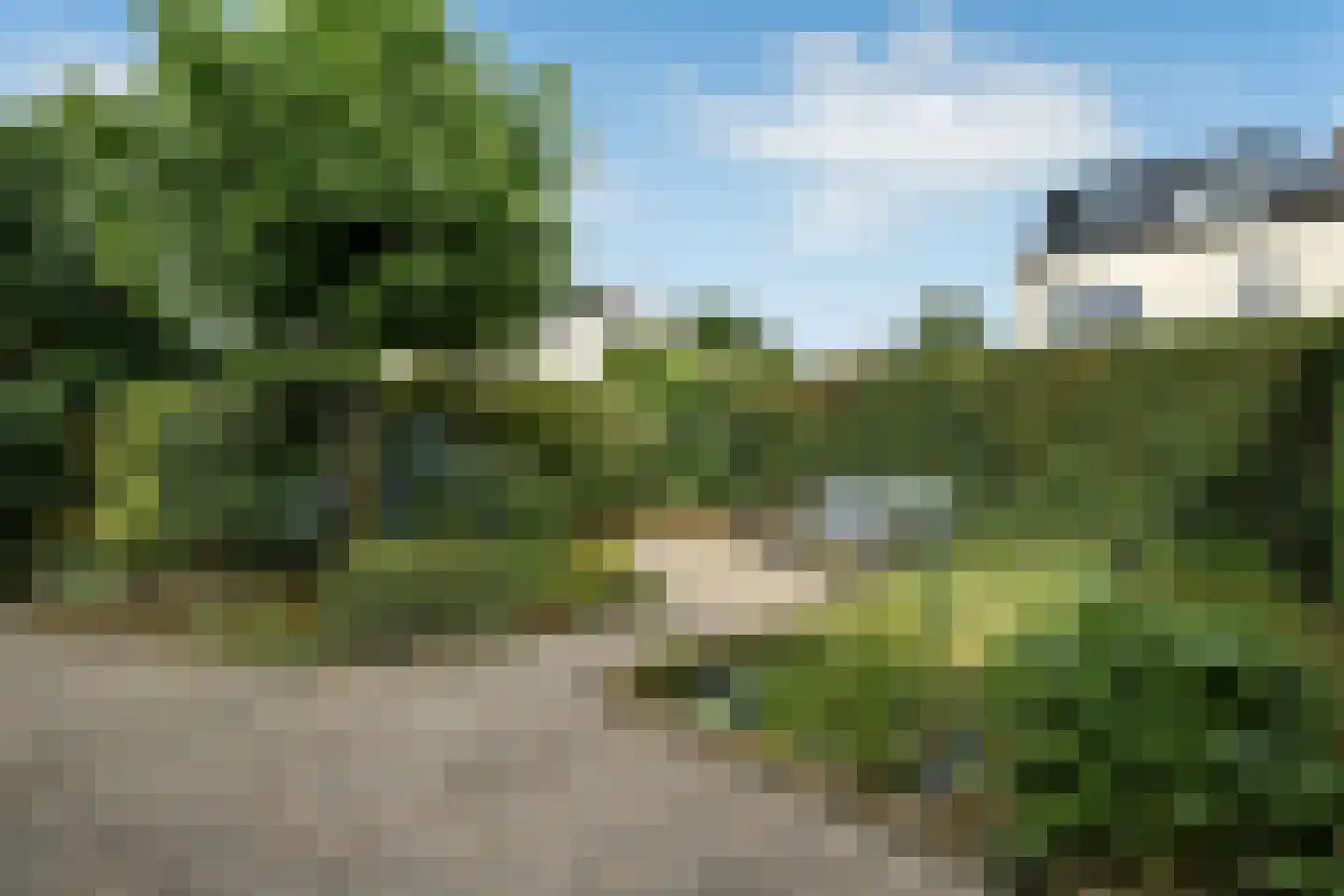 Winterjan 1 Elst thumbnail 27