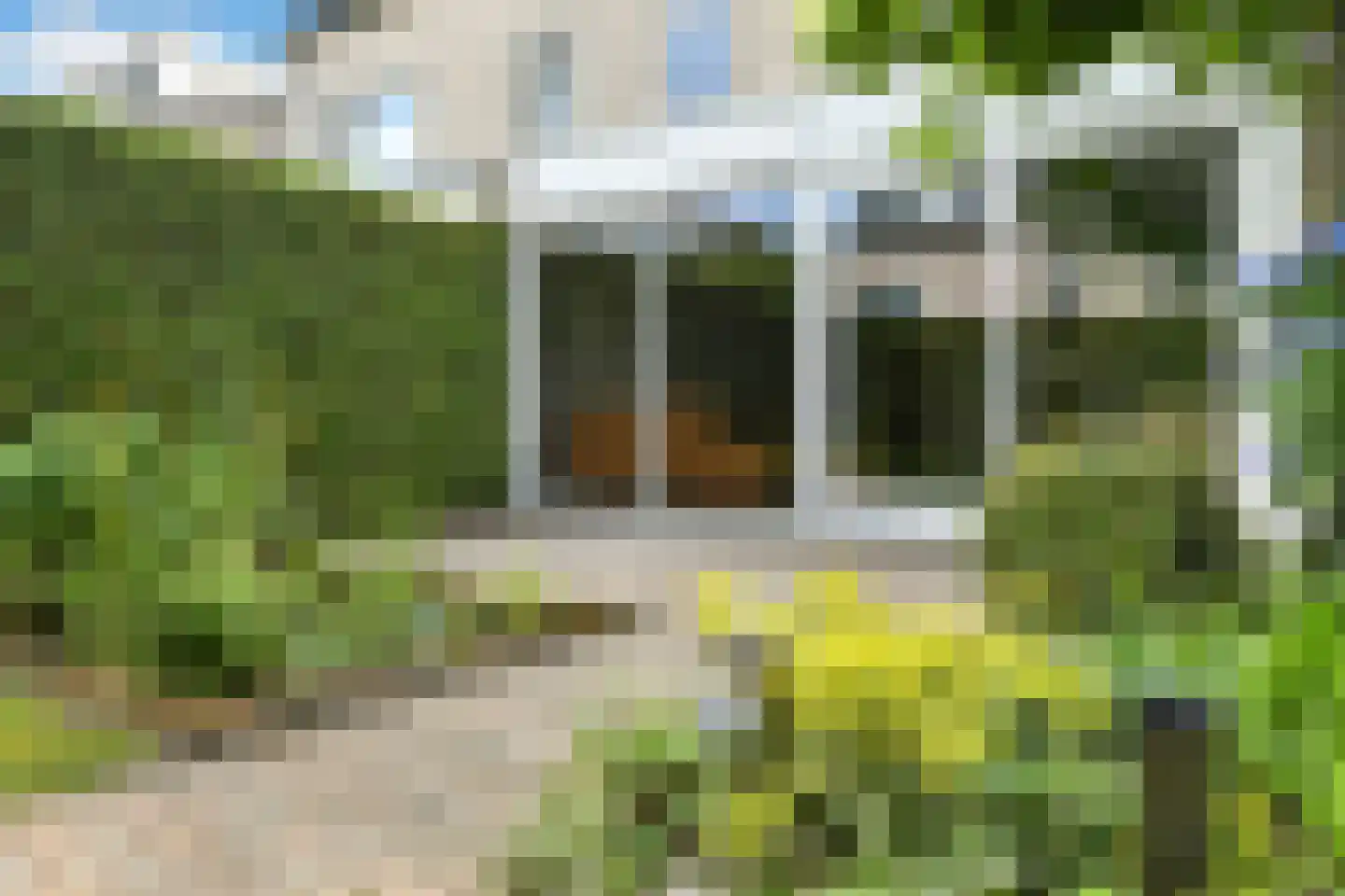 Winterjan 1 Elst thumbnail 33
