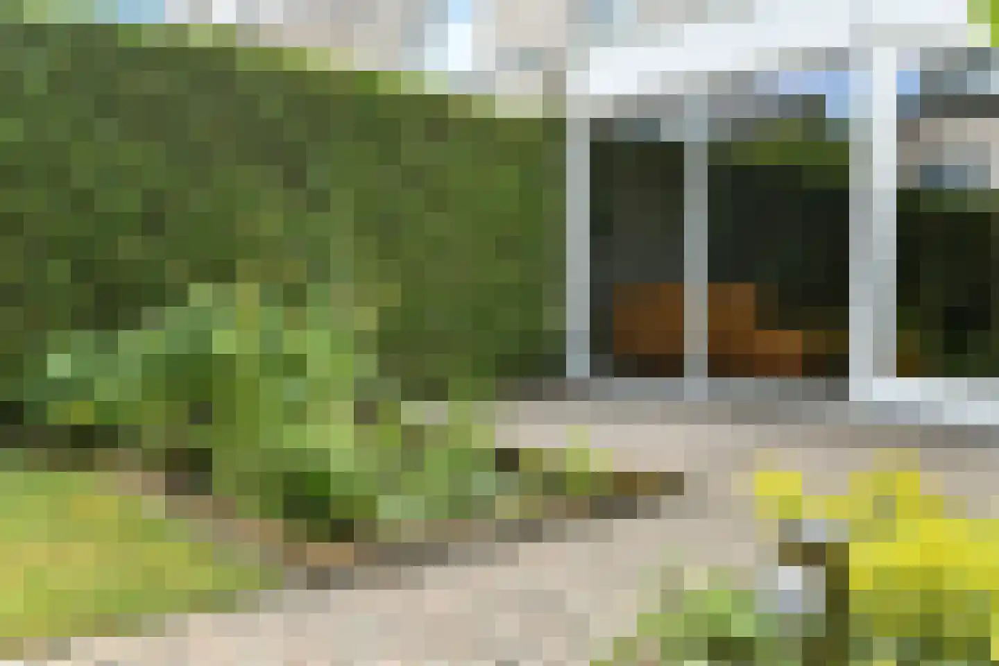 Winterjan 1 Elst thumbnail 34