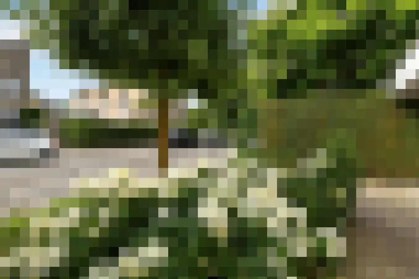 Winterjan 1 Elst thumbnail 37