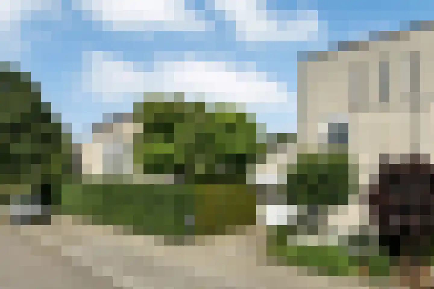 Winterjan 1 Elst thumbnail 38