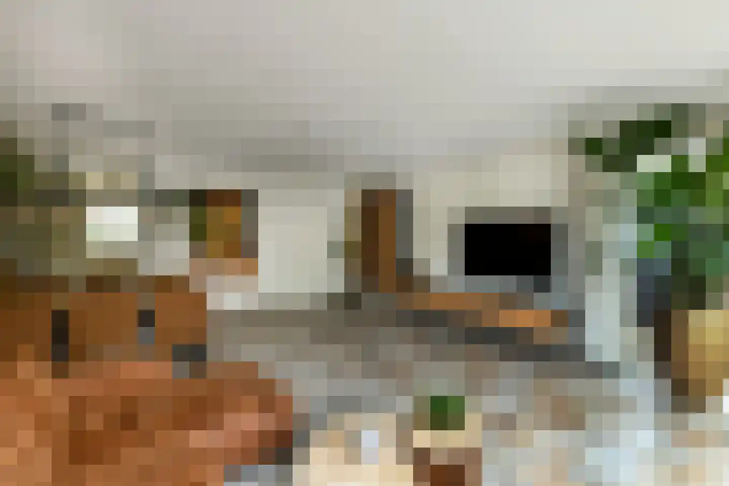 Winterjan 1 Elst thumbnail 8