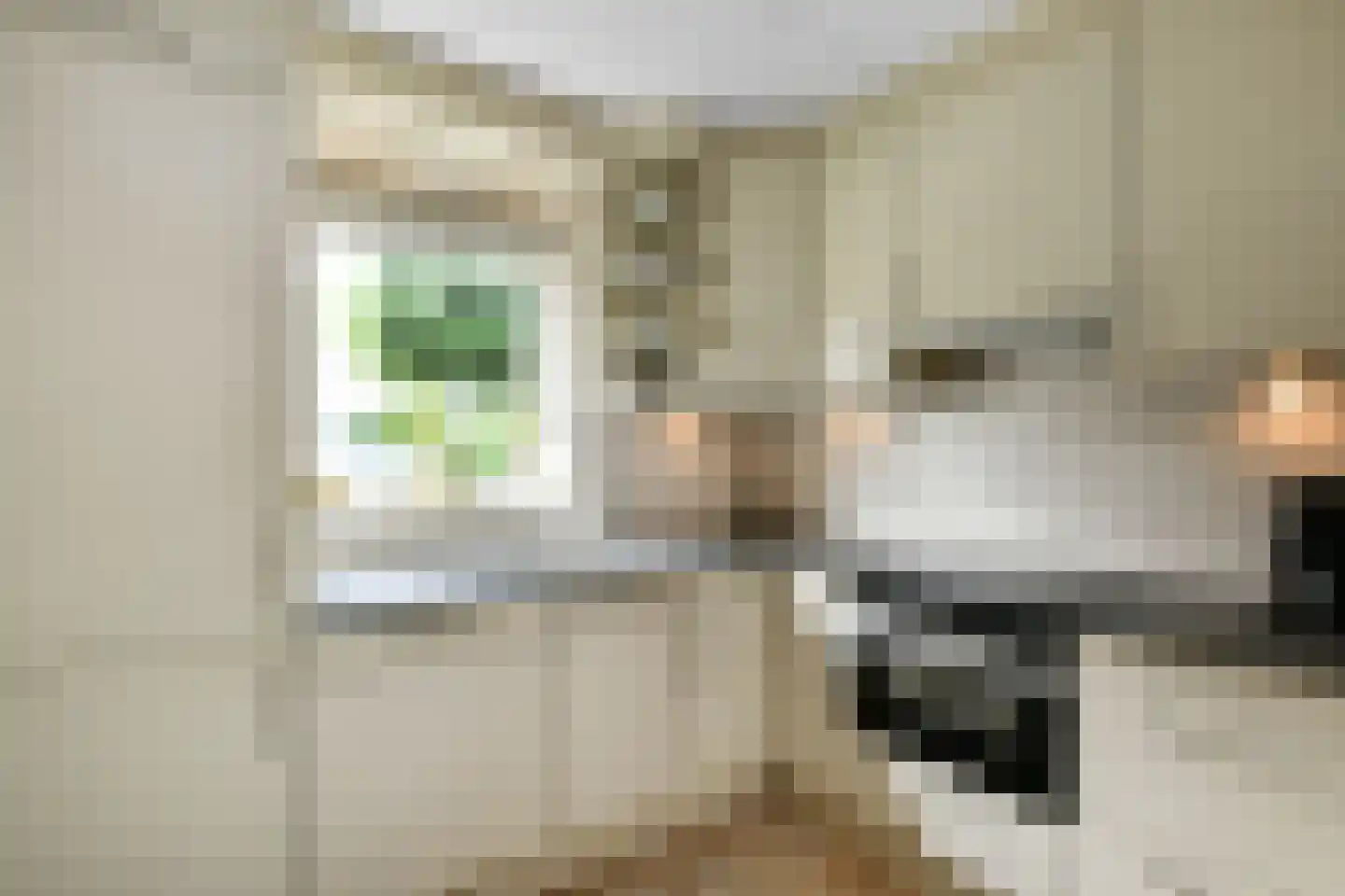 Winterjan 1 Elst thumbnail 9