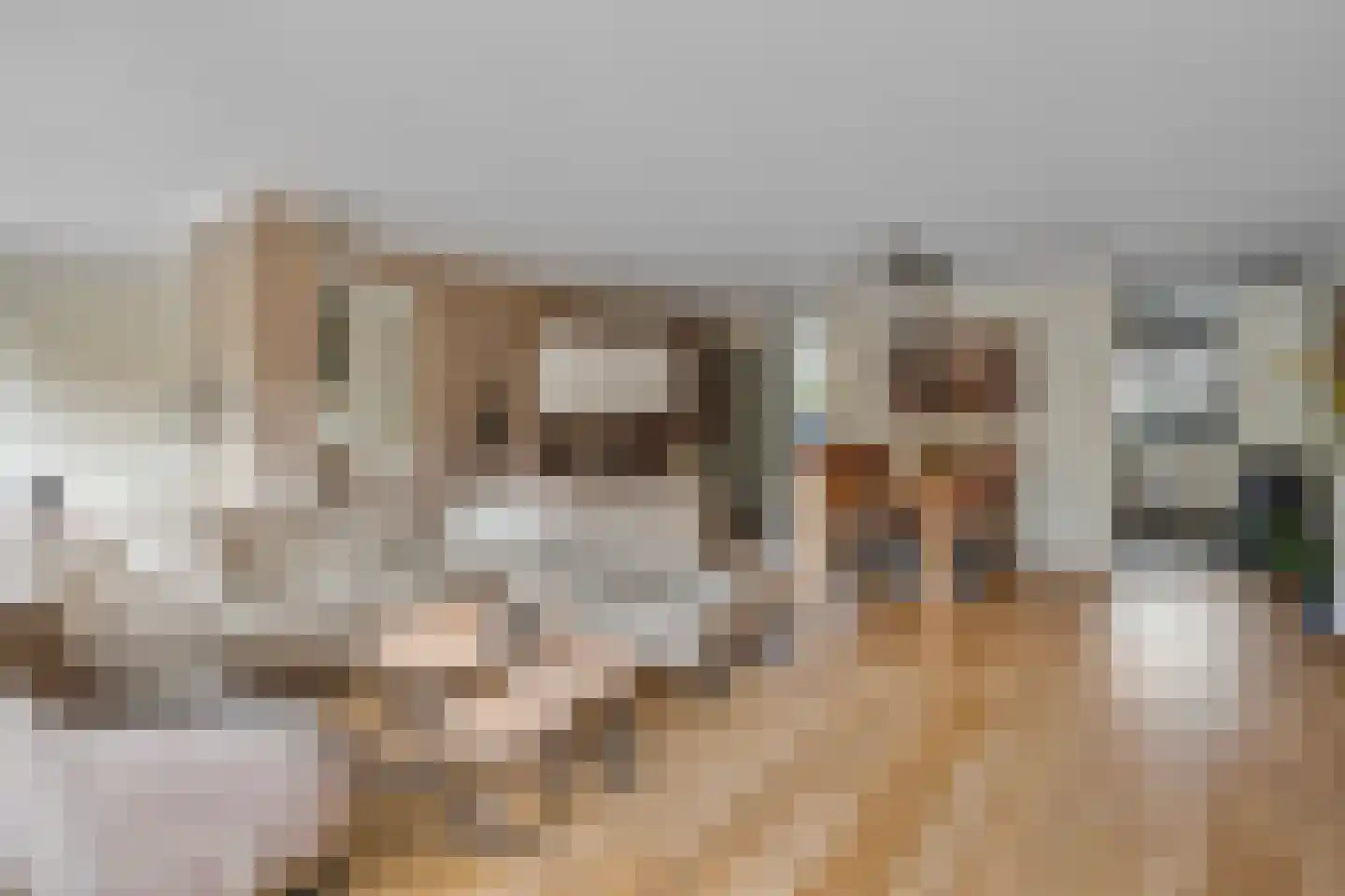 Winterjan 23 Elst thumbnail 13