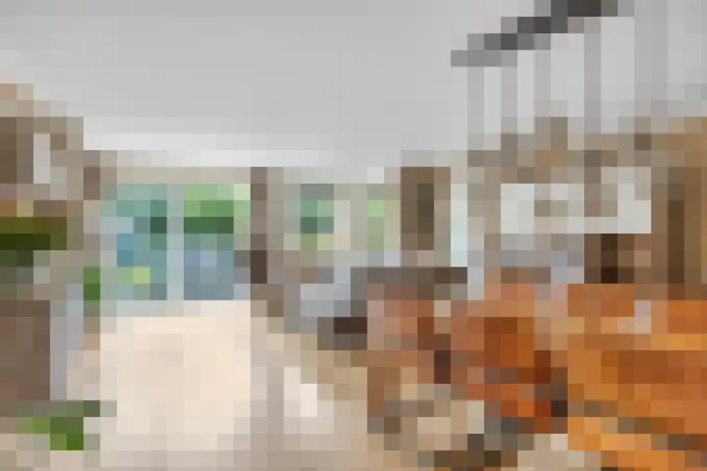 Winterjan 23 Elst thumbnail 17