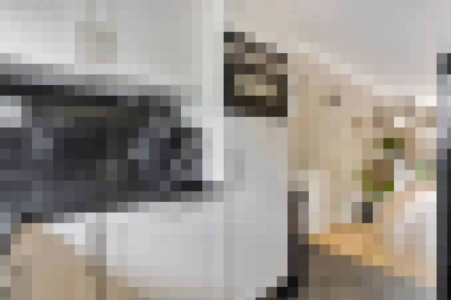Winterjan 23 Elst thumbnail 21