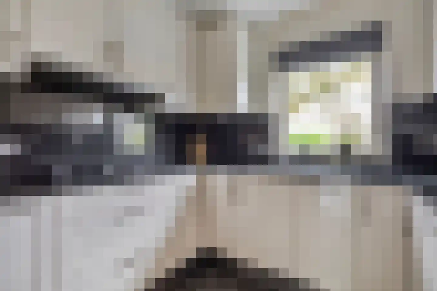 Winterjan 23 Elst thumbnail 22