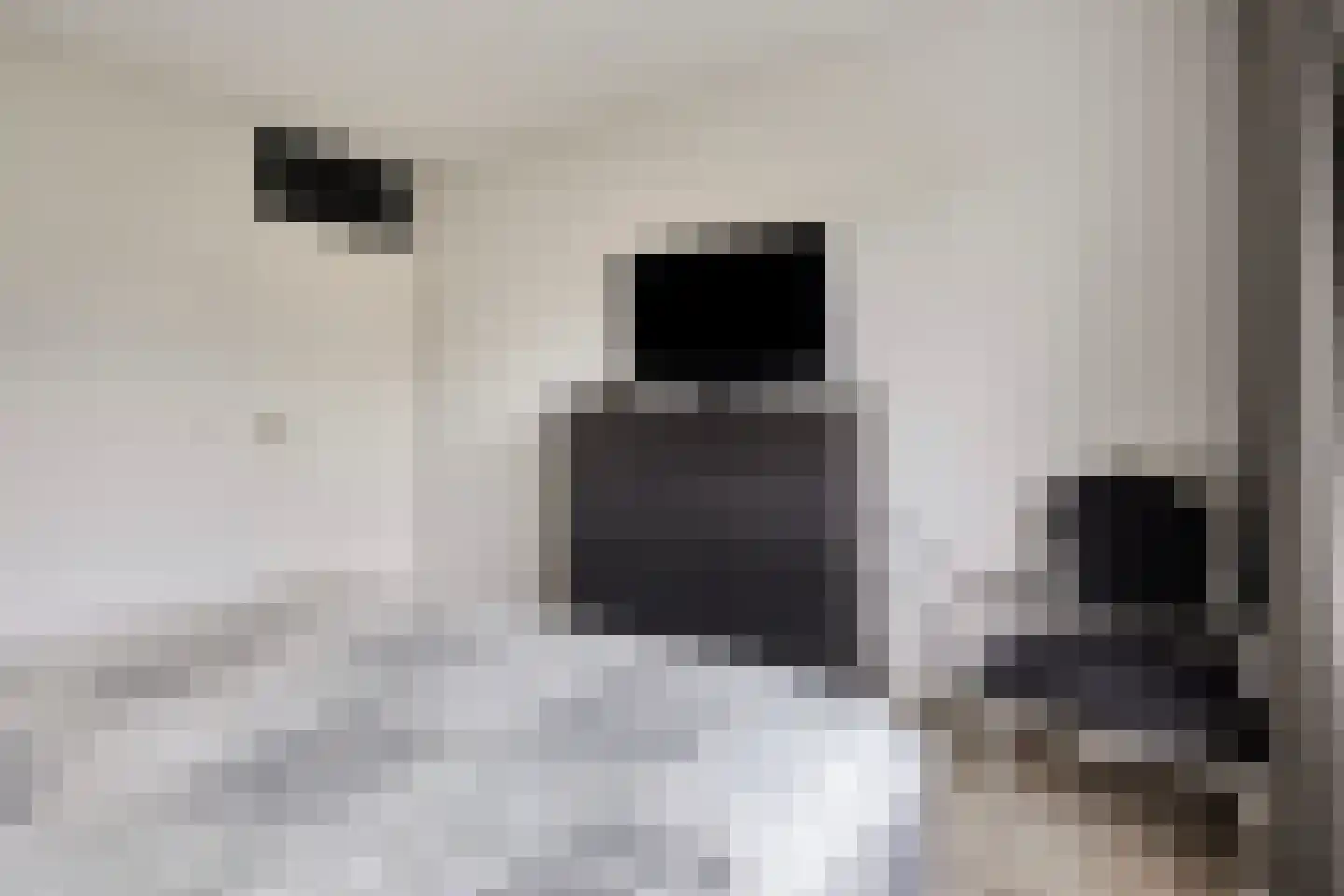 Winterjan 23 Elst thumbnail 25