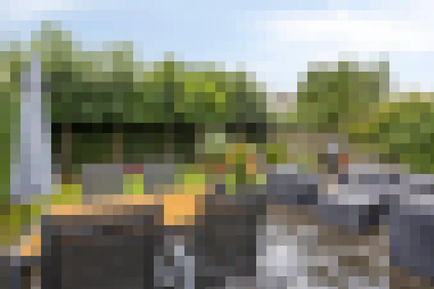 Winterjan 23 Elst thumbnail 36