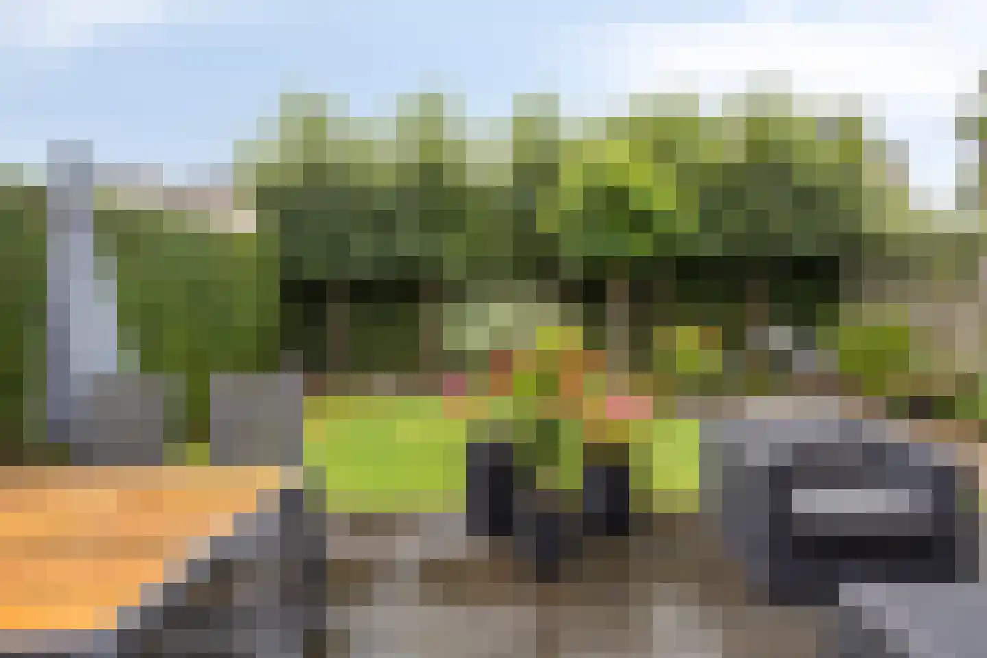 Winterjan 23 Elst thumbnail 37