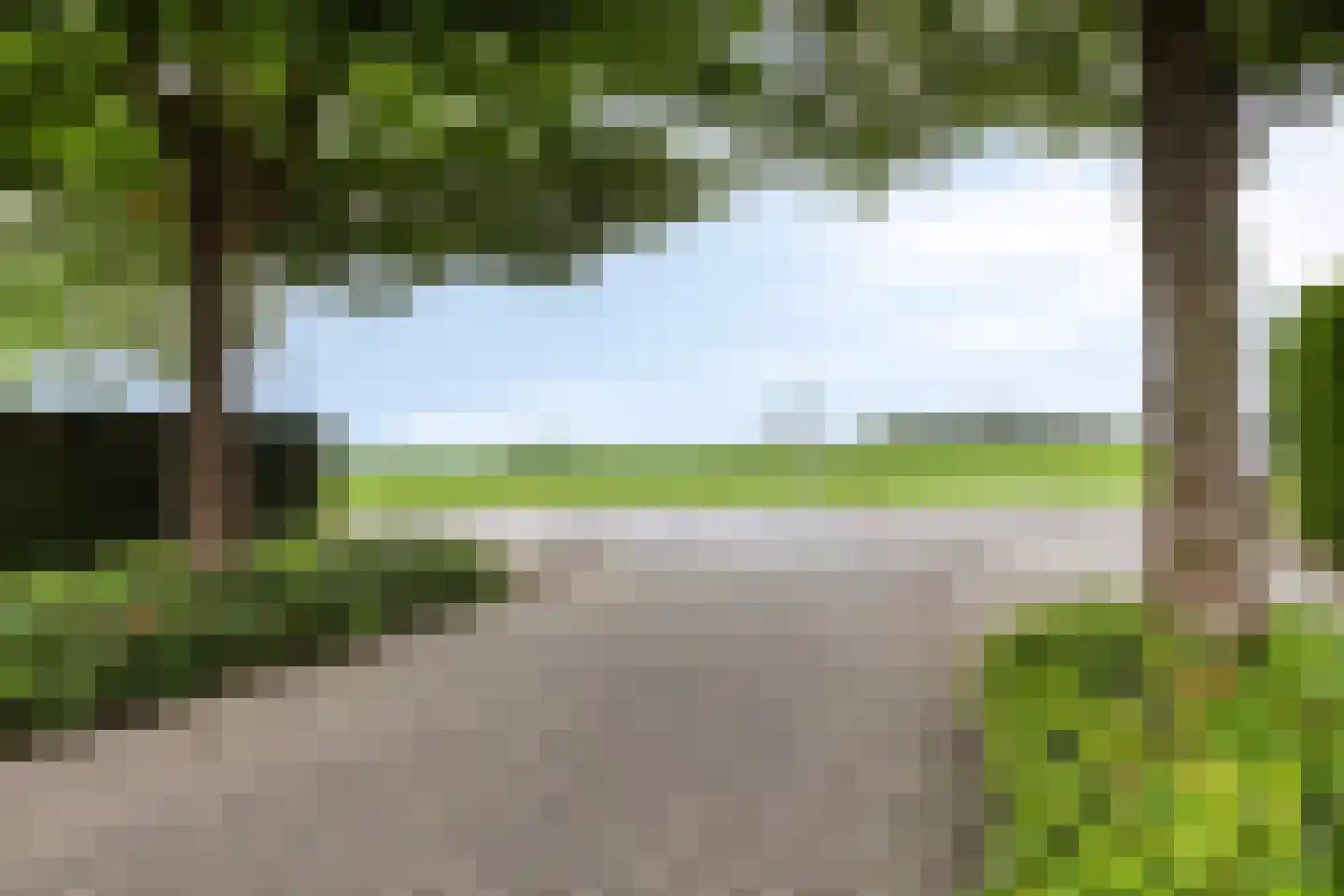 Winterjan 23 Elst thumbnail 43